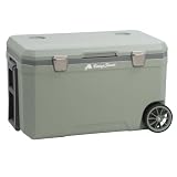 CampFeuer Nevera LightGreen de 70 litros con ruedas, nevera con ruedas, nevera aislada con asas, caja de refrigeración portátil, caja de hielo, mini nevera | Thermobox, caja de aperitivos, enfriador