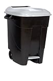 Tayg 421006 Eco - Contenedor de Residuos Eco con Pedal, color Gris, 100 L