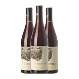 Suertes del Marqués 7 Fuentes Valle de la Orotava Joven 75 cl Vino tinto (Caja de 3 Botellas de 75 cl)