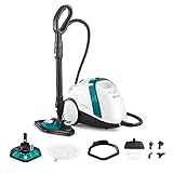 Polti Vaporetto Smart 100 T, Limpiador a Vapor con Caldera