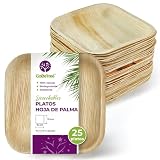 GoBeTree 25 Platos Hoja de Palma Desechables Cuadrados 15 cm de Postre