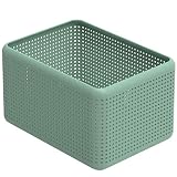 Rotho Madei Caja de almacenamiento 13l, Plástico (PP reciclado) sin BPA, verde, 13l (32.6 x 23.8 x 18.8 cm)