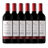 Soliera Vino Tinto D.O. La Mancha - Paquete de 6 x 750 ml - Total: 4500 ml